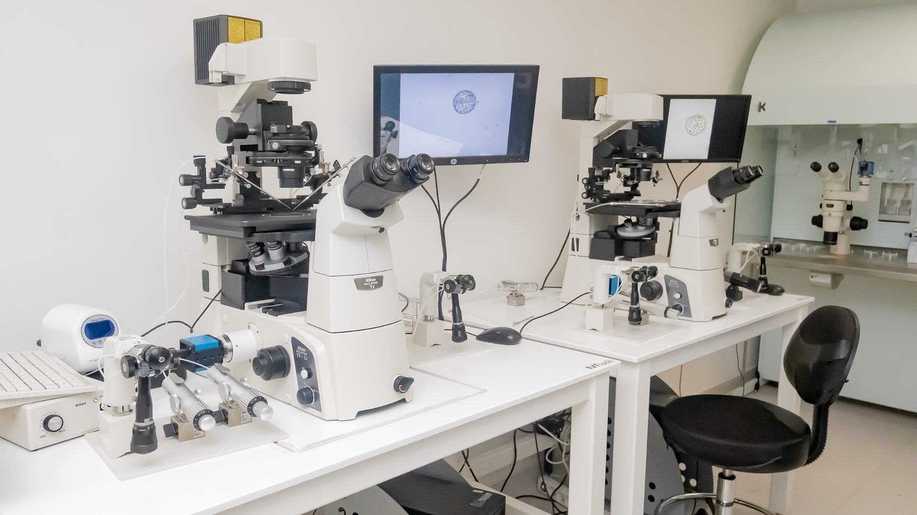 Laboratoire de biologie de la reproduction