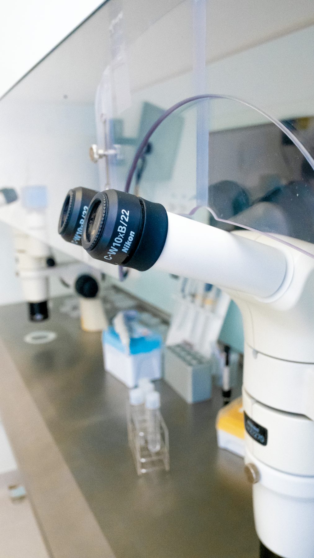 Microscope de précision utilisé en laboratoire de FIV